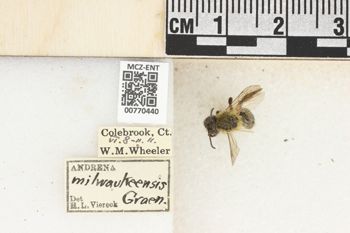 Media type: image;   Entomology 770440 Aspect: Labels